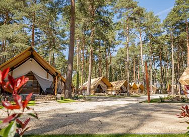 Glampingzelt für 4 Personen mit eigener Terrasse - 4