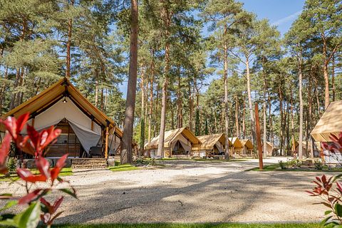 Glampingzelt für 4 Personen mit eigener Terrasse - 4