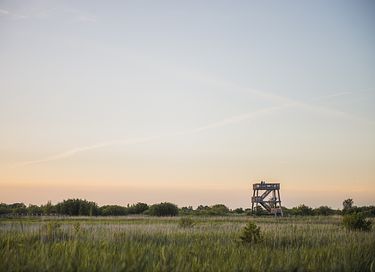 Romantisch overnachten in een herderswagen - 30