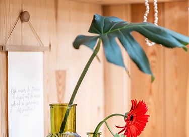 Glazen tiny house op historische locatie - 5