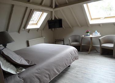 Charmante kasteelkamer in een groene omgeving - 4