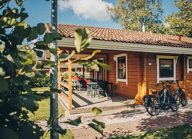 Wooden bungalow with sauna in nature - 2