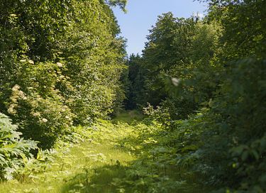 Wikkelhuisje met sauna aan het water - 34