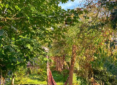 Maison dans la forêt avec jardin de bien-être privé - 28