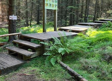 Appartement à l'orée de la forêt pour 2 personnes - 27