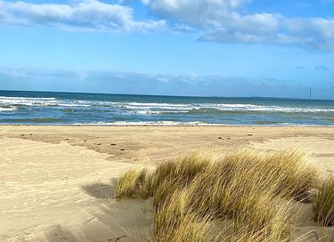 Designvilla (6p) in Zeeland (hond toegestaan) - 28