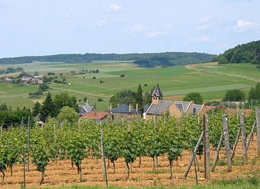 Glamping tent (5p) in Belgian Ardennes - 54