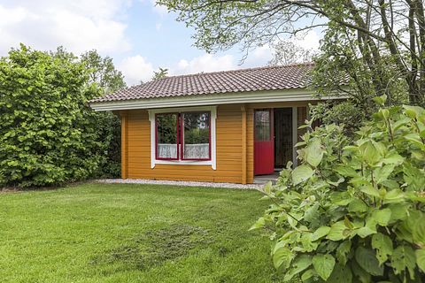 Knus chalet in het groen voor 4 personen - 3
