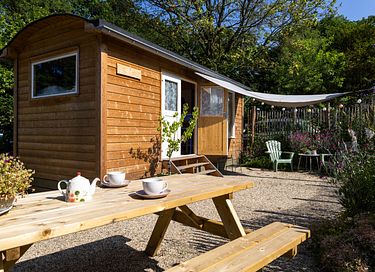 Shepherds hut on the Veluwe