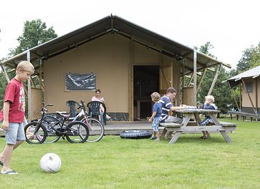 Tente de luxe pour 6 personnes à Veluwe - 3