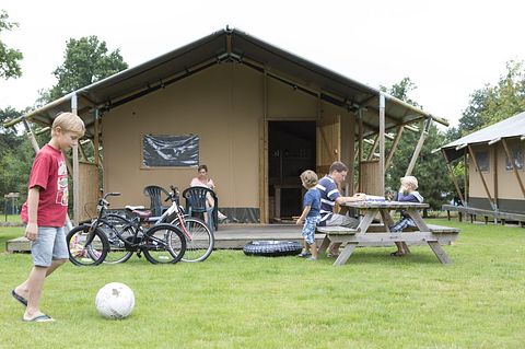Tente de luxe pour 6 personnes à Veluwe - 3