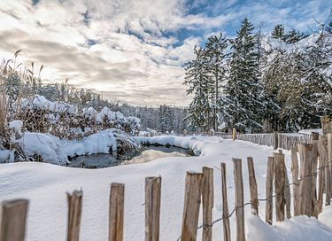 Appartement de vacances pour 4 personnes dans la forêt bavaroise - 8