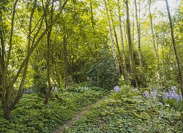 Handgefertigte Hirtenhütte in einem Parkgarten - 20