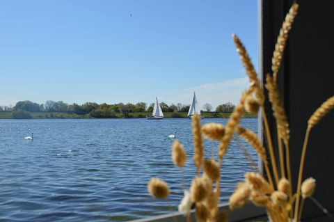 Glamping direkt am Veere-See - 3
