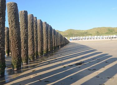 Vier vakantie in Zeeland vlakbij het strand - 35