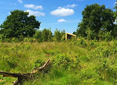 Rustgevende trekkershut (tiny house)  - 5