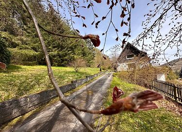 Villa privée au milieu de la forêt en Allemagne - 2