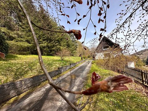 Villa privée au milieu de la forêt en Allemagne - 2