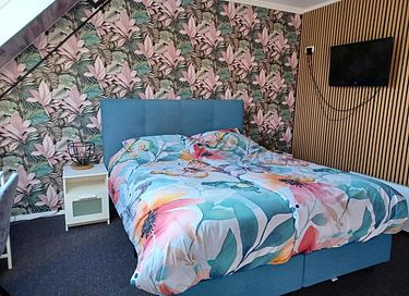 Cozy hotel close to the sea on Terschelling - 7