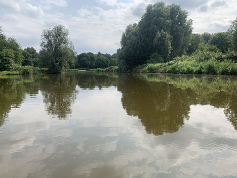 Uniek tiny house met hottub aan het water - 4