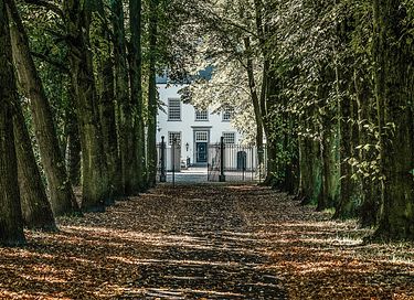 Salon de thé sur site d'un château - 13