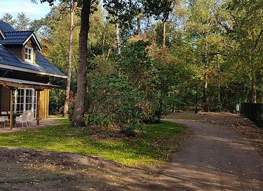 Waldhaus aus Holz mit Sauna auf der Veluwe - 24
