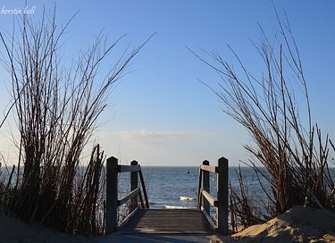 Moderne bungalow (8p) aan de kust in Zeeland - 28