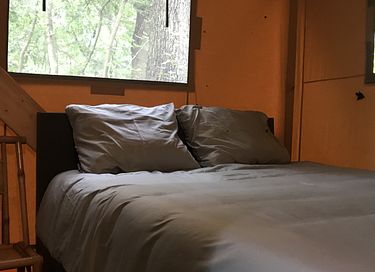 Ruime lodge op mooi domein met paarden - 13