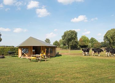 Glamping op knusse koeienboerderij - 3