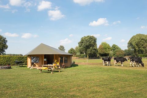 Glamping op knusse koeienboerderij - 3