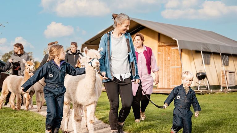 Glamping à la ferme des Alpagas - 1