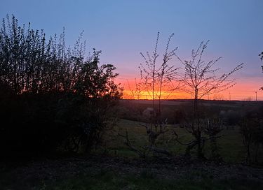 Glamping tent in the Belgian countryside - 38