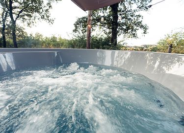 Gîte forestier avec bain à remous privé à Overijssel - 20