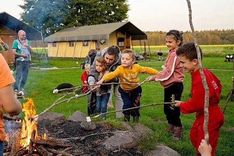 Glamping auf der Dairy & Calf Farm - 2