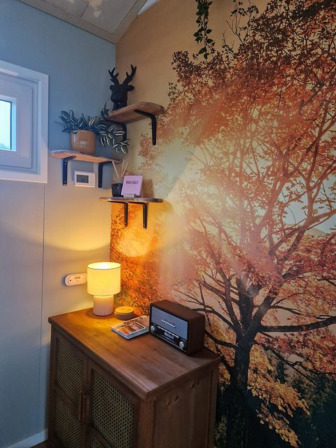 Studio de charme en forêt - 5
