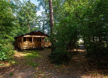 Blokhut midden in het bos op leuke camping - 2