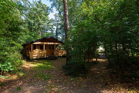 Blokhut midden in het bos op leuke camping - 2