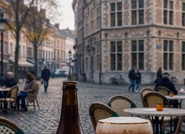 Luxe vakantiehuis met indoor privé zwembad - 27