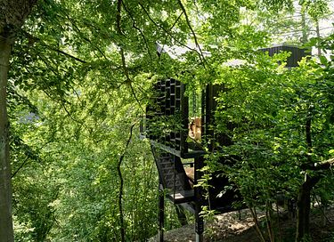 Unique cabane dans les arbes avec sauna privé dans les Ardennes - 32