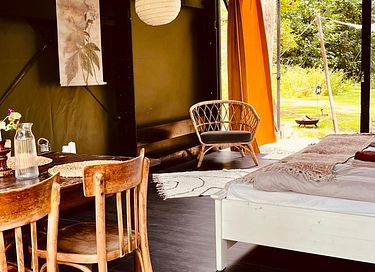 Bijzonder glazen huisje in midden Nederland - 3