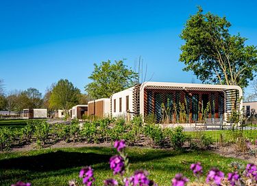 Tiny house op familiepark aan het Veluwemeer - 4