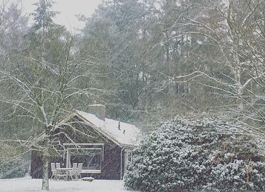Luxe vakantiehuis bij het bos voor 4 pers.  - 38