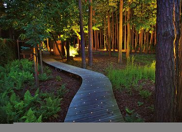 Luxury private wellness experience in nature - 25