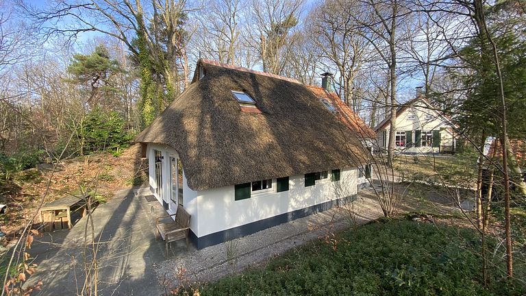 Cozy cottage in the forest - 1