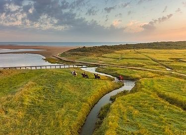 Glamping op akkerbouw en speelboerderij - 20