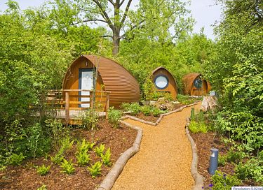 Leuke pod midden in een natuurgebied - 7