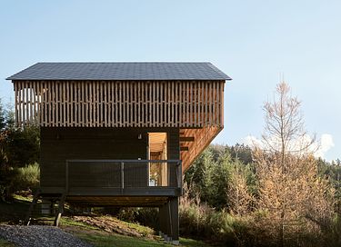 Luxe boomhut met privé hottub in de Ardennen - 22