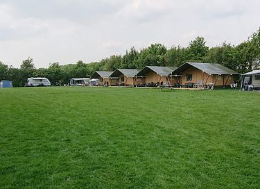 Safaritent op gezellige camping in Drenthe - 1