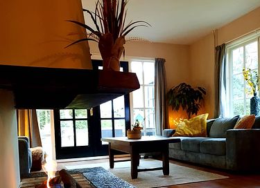 Fairytale forest cottage in Drenthe - 7