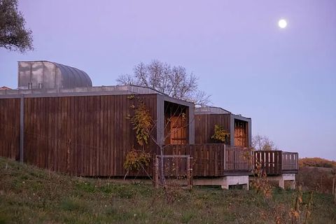 Design holiday home in nature park - 3